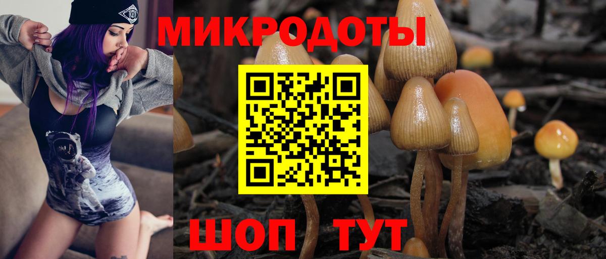 Галлюциногенные грибы мицелий Нальчик