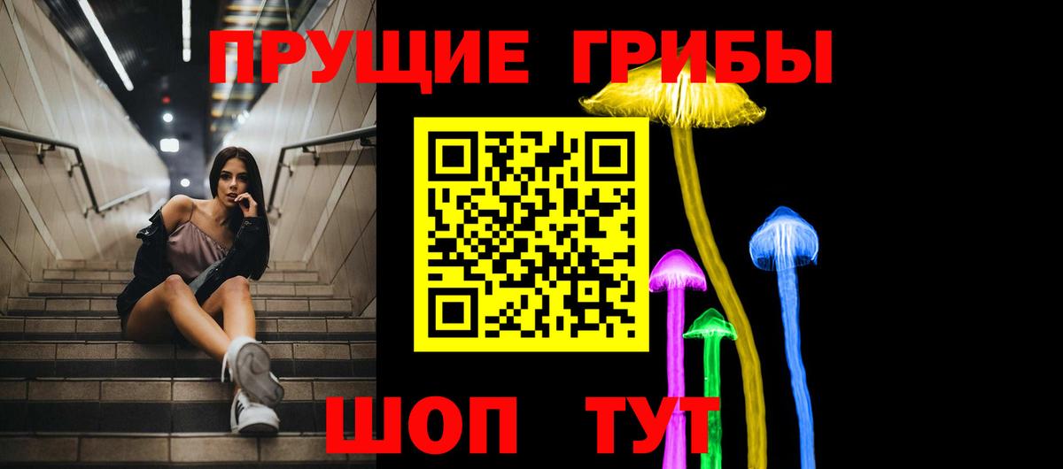 где купить наркоту  Галлюциногенные грибы Psilocybe  Вход с VPN  Нальчик 